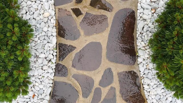 A beautiful landscaping design background with a wet stone walkway bordered by white stones and pine trees