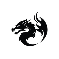 dark fantasy dragon fire smoke vector illustration