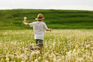 A child runs through a field with dandelions. Summer mood