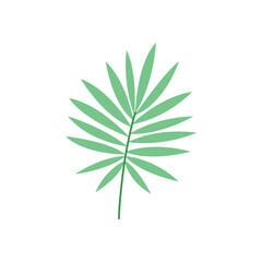Palm Leaf Tropical Hand Drawn Illustration