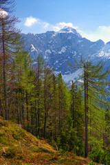 Scenic summer landscape of Mangart mountain (2679m), Triglav National Park, Julian Alps, Europe