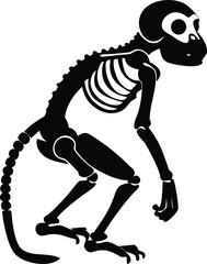 skeleton of monkey animal silhouette