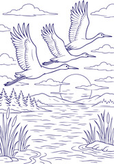 Flying birds over lake at sunset in black and white line art