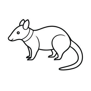 dibbler line art on white background