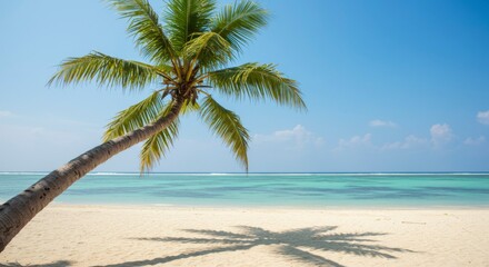 Tropical beach scene with palm tree