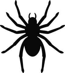 Obraz premium spider silhouette