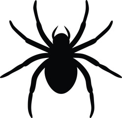 spider silhouette