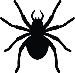 spider silhouette