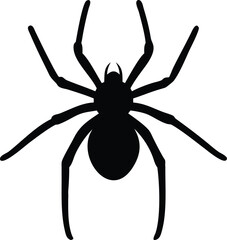 spider silhouette