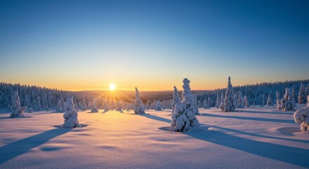 Snowy winter landscape at sunrise
