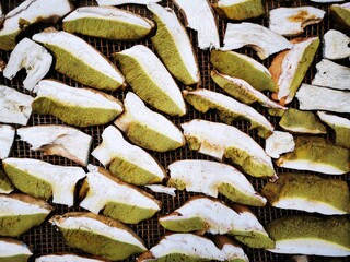 natural drying of boletus in the sun