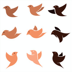 CAMBRIDGE BIRDS Color Editable Vector