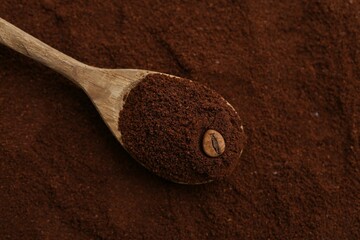 Instant coffee powder, bean and spoon, top view