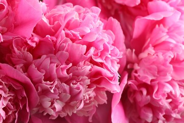 Bouquet of beautiful peonies as background, closeup