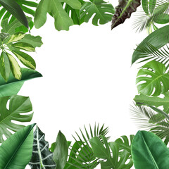 Frame made of fresh green tropical leaves on white background