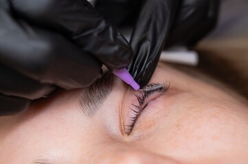 Obraz premium The process of professional eyelash lamination in a salon. 