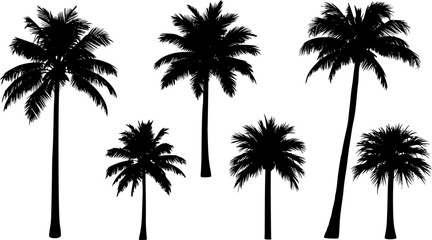 Six palm trees in black and white on a white background