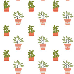Seamless pattern with house plants. Home plants.