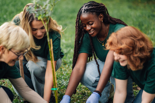 Group of volunteers planting a tree in the park