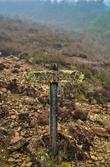 Sign with the name ‘slippery gully’, overgrown with lichen, along a hiking trail on the misty...