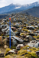 Trail marker on a rocky slope above the tree line of Mount Ruapehu, the highest volcano of New Zealand.

