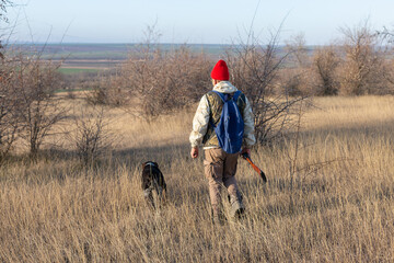 Mature hunter man holding a shotgun and walking through a field