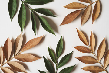 handcut paper leaves arranged in geometric patterns on white background, eco-friendly collage concept