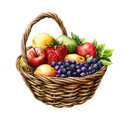 watercolor of Farm To Table Fruit Basket, vector, isolated on a white background.
