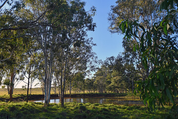dam on a farm