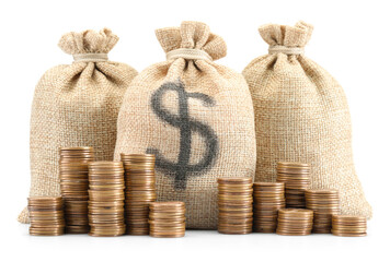 Bags with dollar sign and coins isolated on white