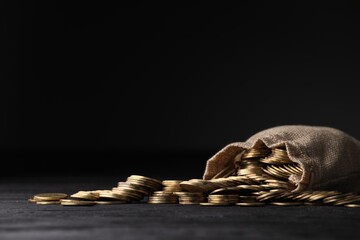 Bag and coins on dark background, space for text