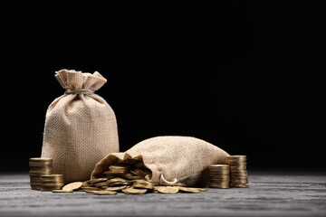 Bags and coins on gray wooden table against dark background