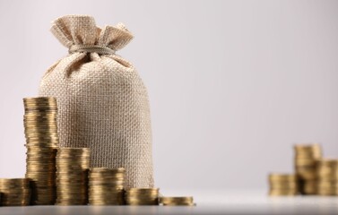 Bag and stacked coins on light background, selective focus. Space for text