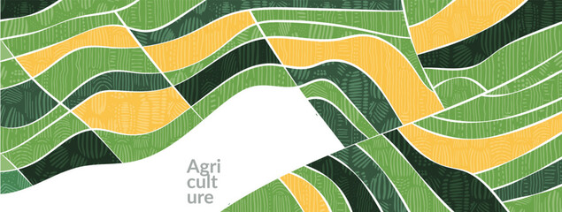 Field with abstract pattern on farm featuring rice, wheat. Green top view of corn, vineyard, agro patchwork landscape. Graphic banner with grain, aerial nature, tea plantation, farmland panorama