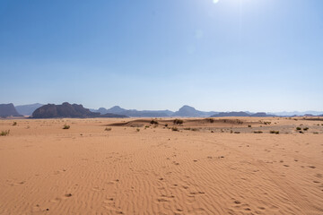 Desert's Embrace: A sun-drenched desert landscape unfolds beneath a vast, cloudless blue sky, the...