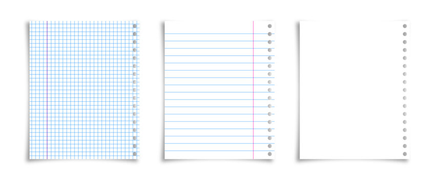 Workbook squared linear and blank paper page vector illustration
