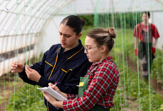 Group of people working in greenhouse with focus on two women