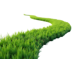 green grass path curving forward, eye-level perspective, clean white background,isolated,grass,natural