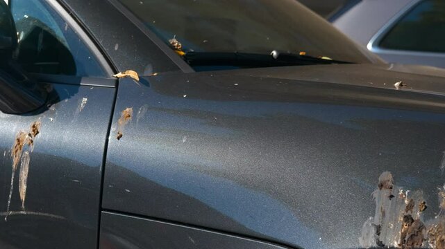 Bird droppings covering car. Bird droppings accumulate progressively on a sleek, dark gray modern car parked outdoors, creating a messy and unsightly situation for the owner