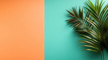 Two-toned background with tropical palm leaves.  Bright colors, minimalist