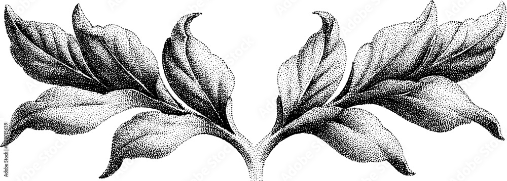Poster abstract leaf pattern with overlapping arc segments for artistic design