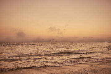 Venice Beach California