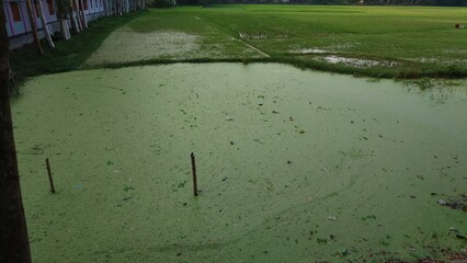 water drops on the water