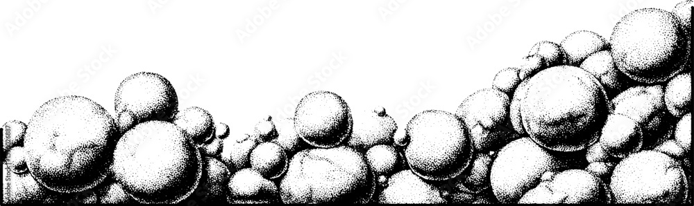 Poster abstract dot field texture with subtle cluster arrangement for artistic design