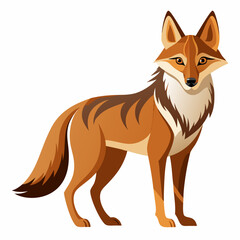 Coyote illustration on a white background perfect for wildlife designs nature projects and animal themed creative