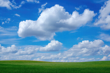 Fototapeta premium Cumulus Clouds Above Lush Green Field Under Bright Blue Sky