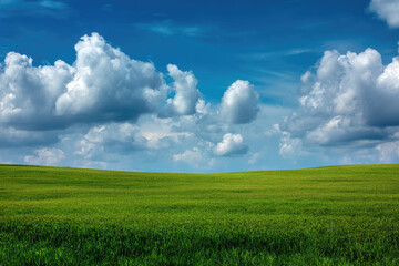 Obraz premium Expansive Green Field Under a Dramatic Sky