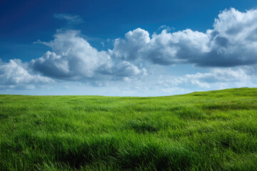 Expansive Meadow Under a Dramatic Sky