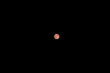 Strawberry Moon in June 2025 - spectacular low reddish full moon in the night sky over Bavaria, Germany