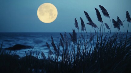 A full moon over the ocean with tall grass in the foreground on a dark night with a blue sky above
